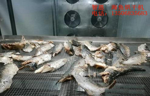 熱泵海魚(yú)烘干機